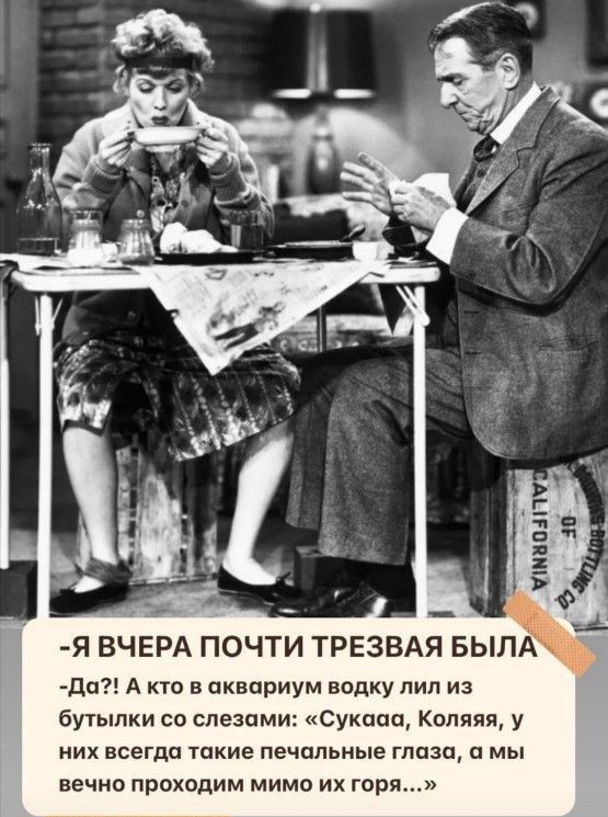 Я ВЧЕРА ПОЧТИ ТРЕЗВАЯ БЫЛА да А кто в аквариум водку пил из бутылки со слезами Сухади Камня у них всегда шкие печальные глаза а мы вечно проходим мимо их горя