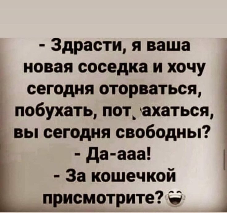 Здрасти я ваша новая соседка и хочу сегодня оторваться побухать пот_ ахаться вы сегодня свободны да ааа За кошечкой присмотрите Ё А