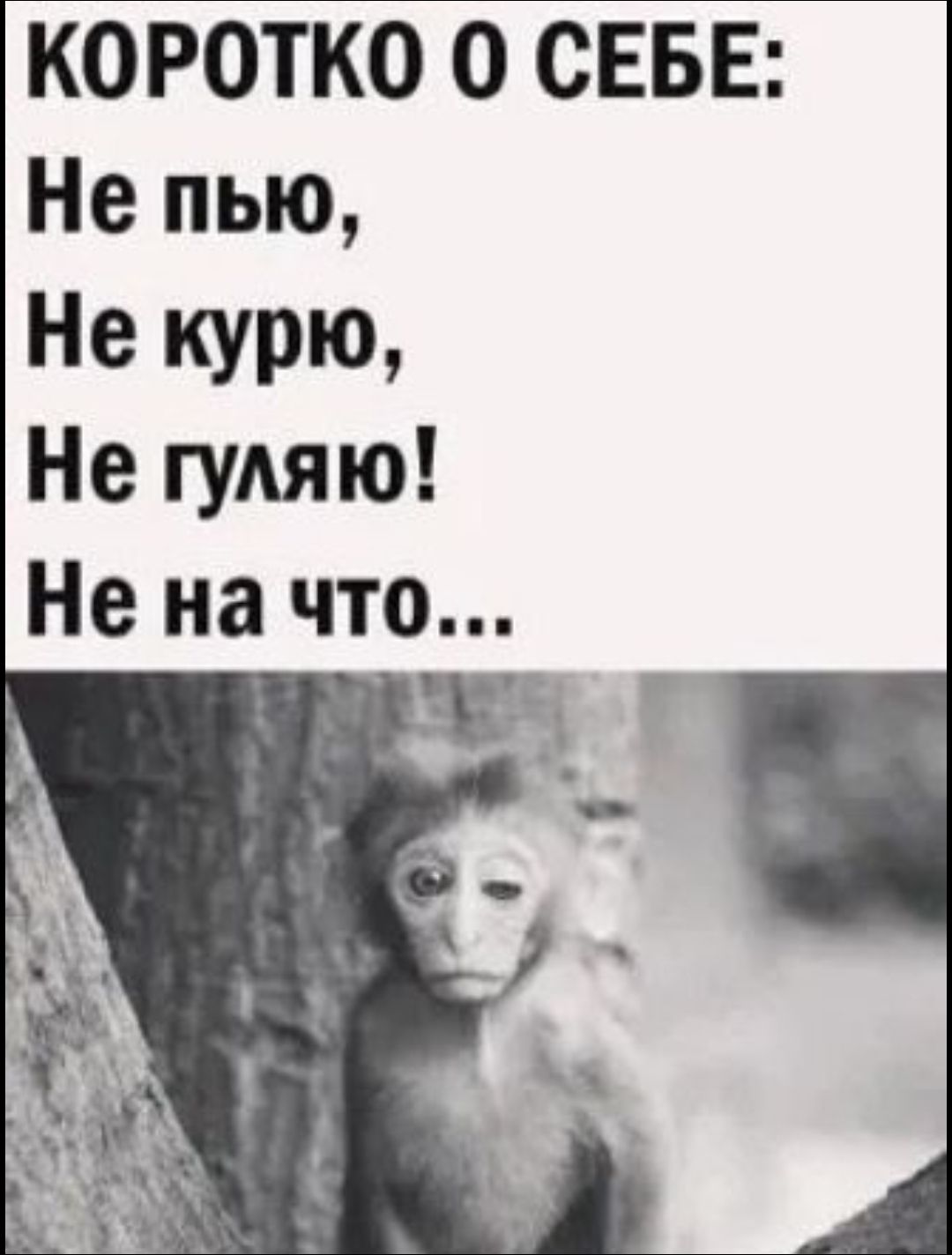 КОРОТКО О СЕБЕ Не пью Не КУРЮ Не гуляю Не на что