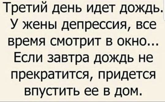 Третий день идет дождь У жены депрессия все время смотрит в окно Если завтра дождь не прекратится придется впустить ее в дом