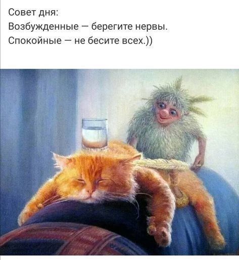Совет дня Возбужденные берегите нервы Спокойные не бесите всех