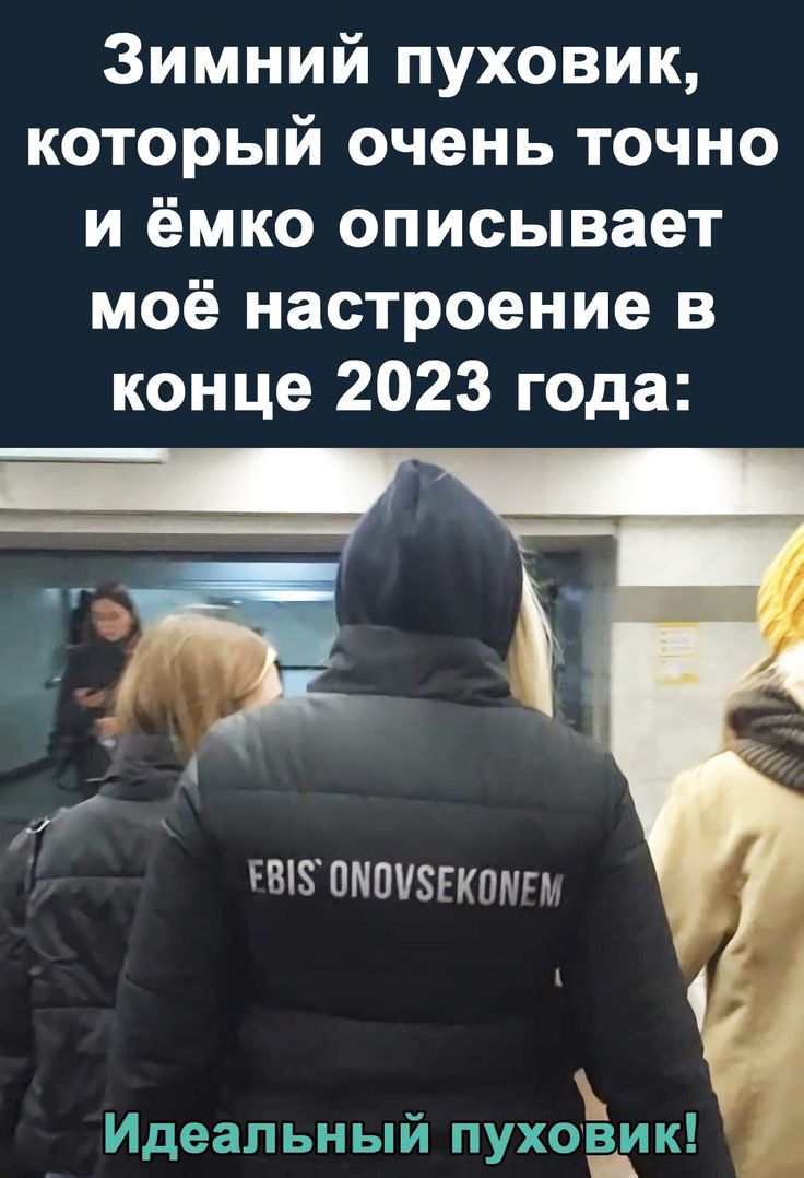 Зимний пуховик который очень точно и ёмко описывает моё настроение в конце 2023 года ПЗ8ПМШЗРКШЛЫ Идеальный пухоёшик