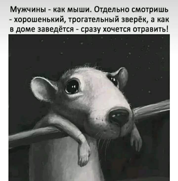 Мужчины как мыши Отдельно смотришь хорашенький трогательный зверёк а как в доме заведётся сразу хочется травть