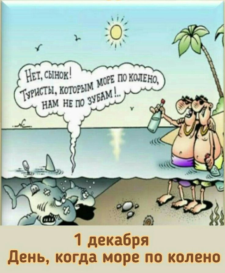 1 декабря День когда море по колено