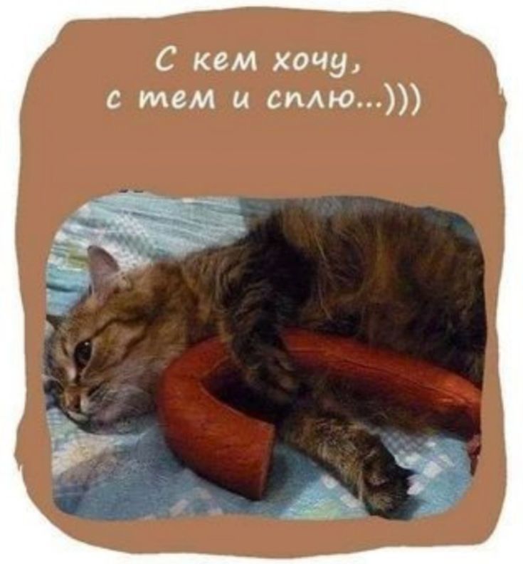 с кем хочу с тем спАю