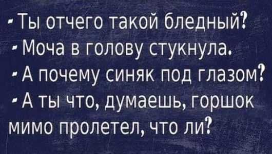 Ты отчего такой бледный Моча в голову стукнула А почему синяк под глазом А ты что думаешь горшок мимо пролетел что ли