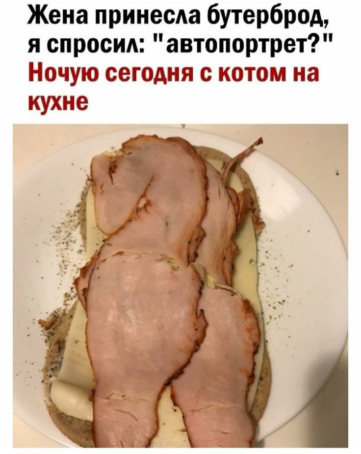 Жена принесла бутерброд я спросил автопортрет Ночую сегодня с котом на кухне