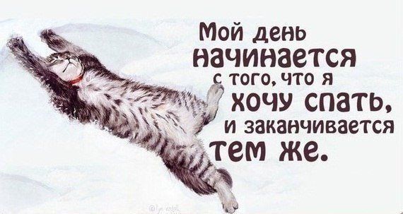 Мой день начинается того что я Ь ХОЧУ СПЗТЬ и заканчивается же