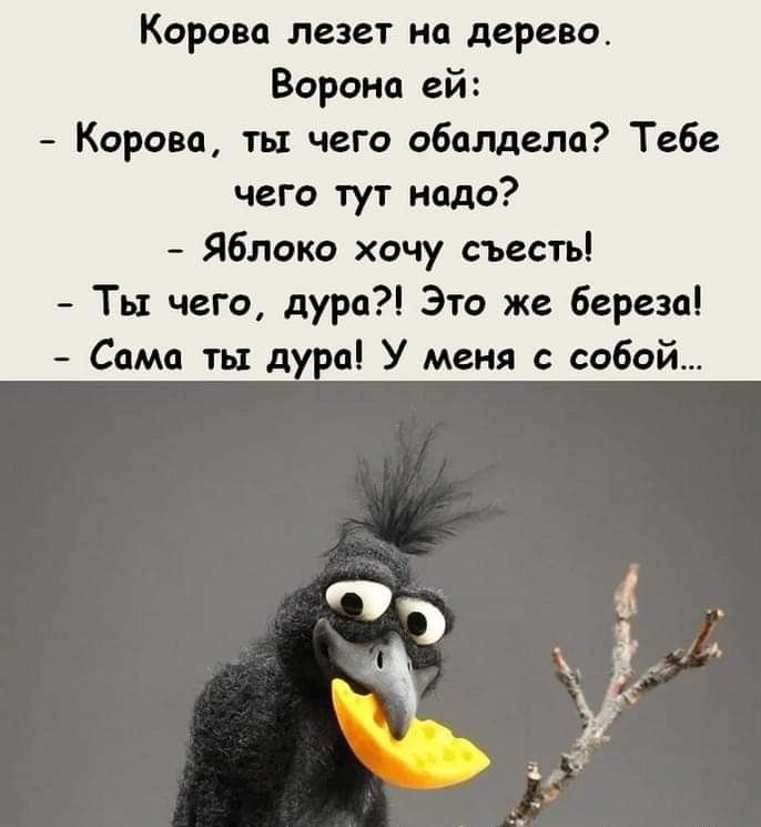 Корова лезет на дерево Ворона ей Корова ть чего обалдели Тебе чего тут надо Яблоко хочу съесть Ты чего дура Это же березаі Сама тп дура У меня с собой