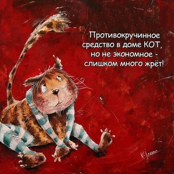 Прщивокручинное средств в доме КОТ но не экономное слишком много жрёт
