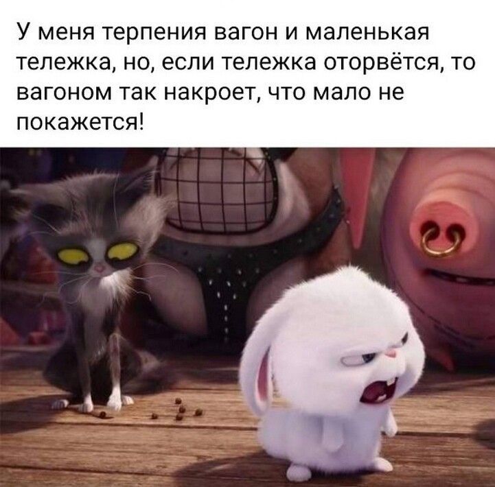 У меня терпения ВЗГОН И МЭПЕНЬКЭЯ Тележка НО если тележка ОТОРВёТСЯ ТО вагоном так накроет что мало не покажется