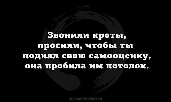 Звонили кроты просили чтобы ты поднял свою самооценку она пробила ии потолок