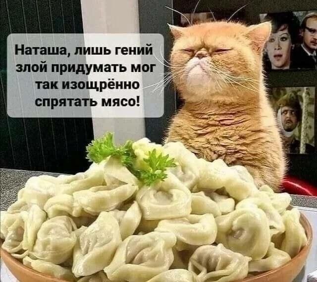 Натана лишь гений алой придумать мог пк шщрёино впрятпъ мясо