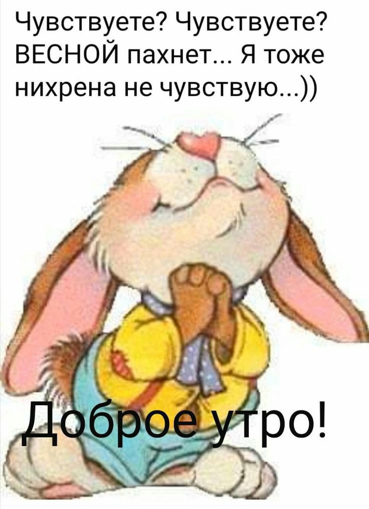 Чувствуете Чувствуете ВЕСНОЙ пахнет Я тоже нихрена не чувствую