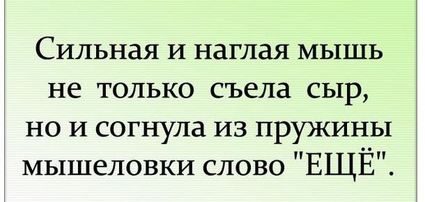 Сильная И наглая мышь не только съела сыр но и согнула из пружины мышеловки слово ЕЩЁ