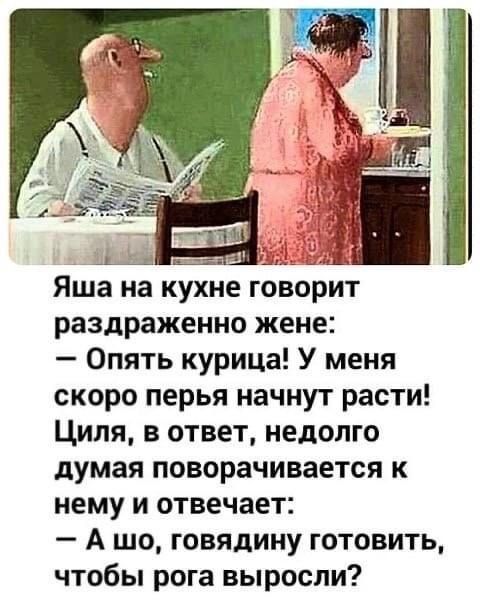 Яша на кухне говорит раздраженно жене Опять курица У меня скоро перья начнут расти Циля в ответ недолго думая поворачивается к нему и отвечает А шо говядину готовить чтобы рога выросли