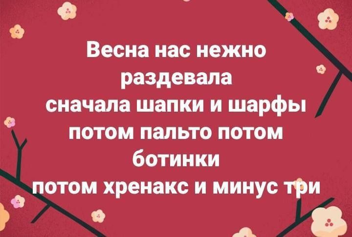 Весна нас нежно раздевала сначала шапки и шарфы потом пальто потом ботинки потом хренакс и минус три А Б