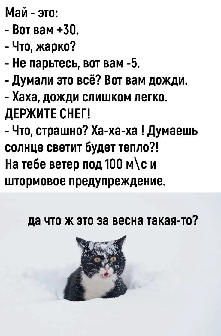 Май это Вот вам 30 Что жарко Не парьтесь вот вам 5 думали это всё Вот вам дожди Хаха дожди слишком легко дЕРЖИТЕ СНЕГ Что страшно Ха ха ха думаешь солнце светит будет тепло На тебе ветер под 100 мс и штормовое предупреждение да что ж это за весна такая то