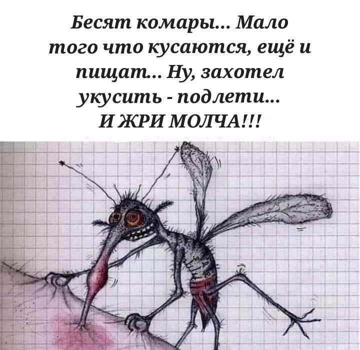 Бесят комары Мало того что кусаются ещё и пищат Ну захотел укусить подлети И ЖРИ МОЛЧА