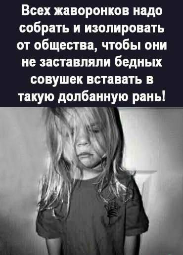 Всех жаворонков надо собрать и изолировать от общества чтобы они не заставляли бедных совушек вставать в такую долбанную рань