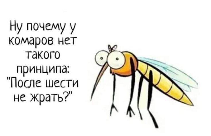 Ну почему у комаров нет такого принципа После шести не жрать