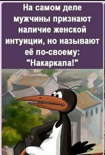 На самом деле мужчины признают наличие женской интуиции но называют её по своему Накаркапа