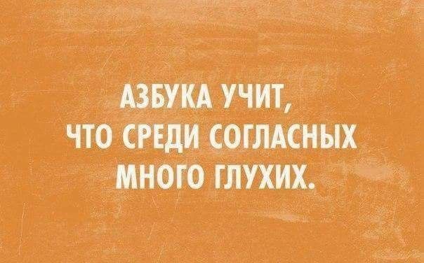 АЗБУКА УЧИТ ЧТО СРЕЛИ СОГЛАСНЫХ МНОГО ГЛУХИХ о