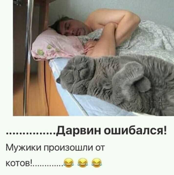 Дарвин ошибался Мужики произошли от