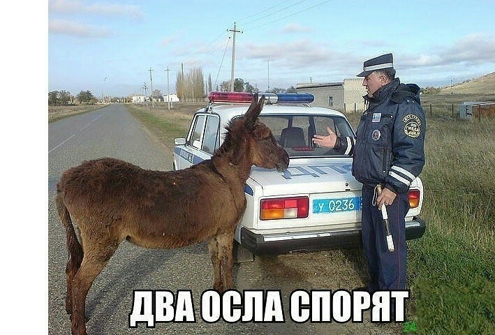 ГЧНВЕР ДВАОСЛА СПОРЯТ