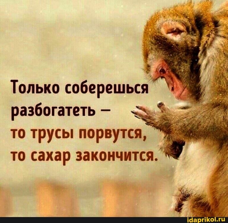 Только соберешься А разбогатеть _ то трусы порвутся то сахар закончится