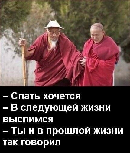 Спать хочется В следующей жизни выспимся Ты и в прошлой жизни так говорил