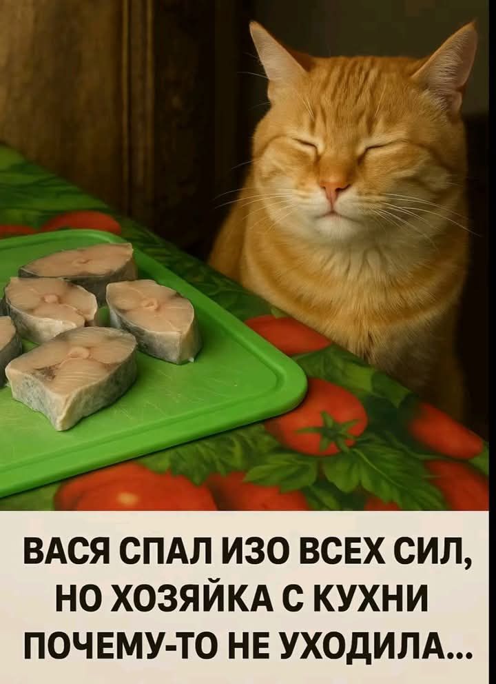 ВАСЯ СПАЛ ИЗО ВСХ СИЛ, НО ХОЗЯЙКА С КУХНИ ПОЧЕМУ-ТО НЕ УХОДИЛА...