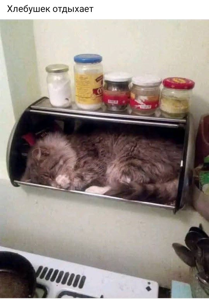 Хлебушек отдыхает