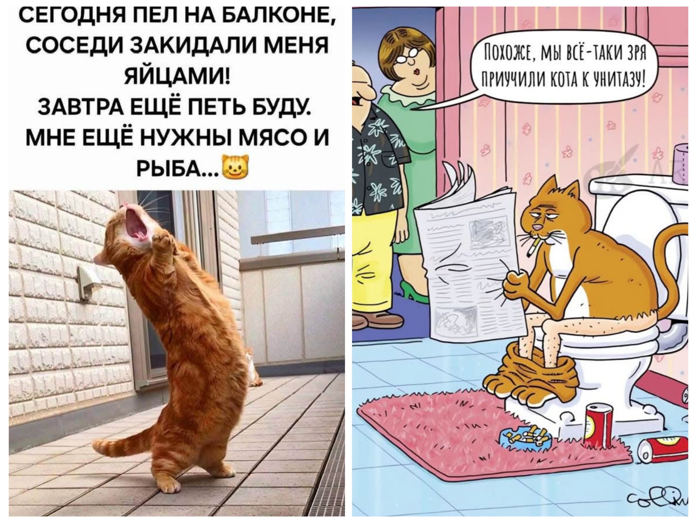 СЕГОДНЯ ПЕЛ НА БАЛКОНЕ, СОСЕДИ ЗАКИДАЛИ МЕНЯ ЯЙЦАМИ! ЗАВТРА ЕЩЁ ПЕТЬ БУДУ. МНЕ ЕЩЁ НУЖНЫ МЯСО И РЫБА...

Похоже, мы всё-таки зря причинили кота к уборке!