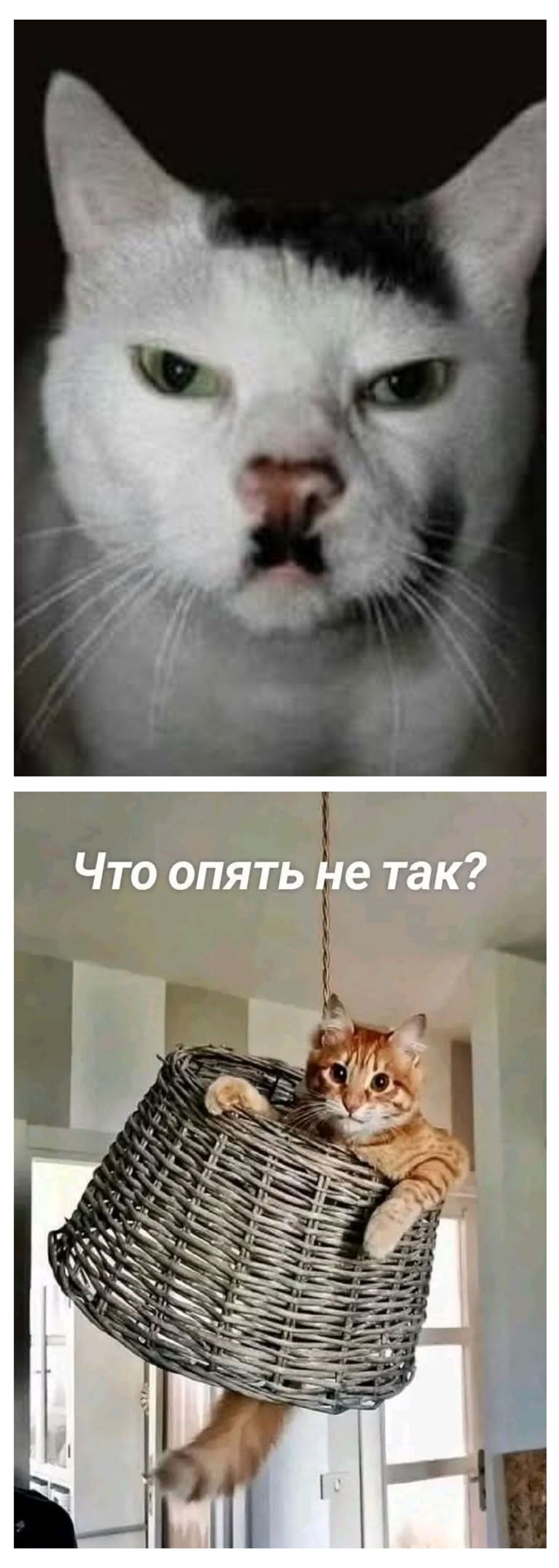 Что опять не так?