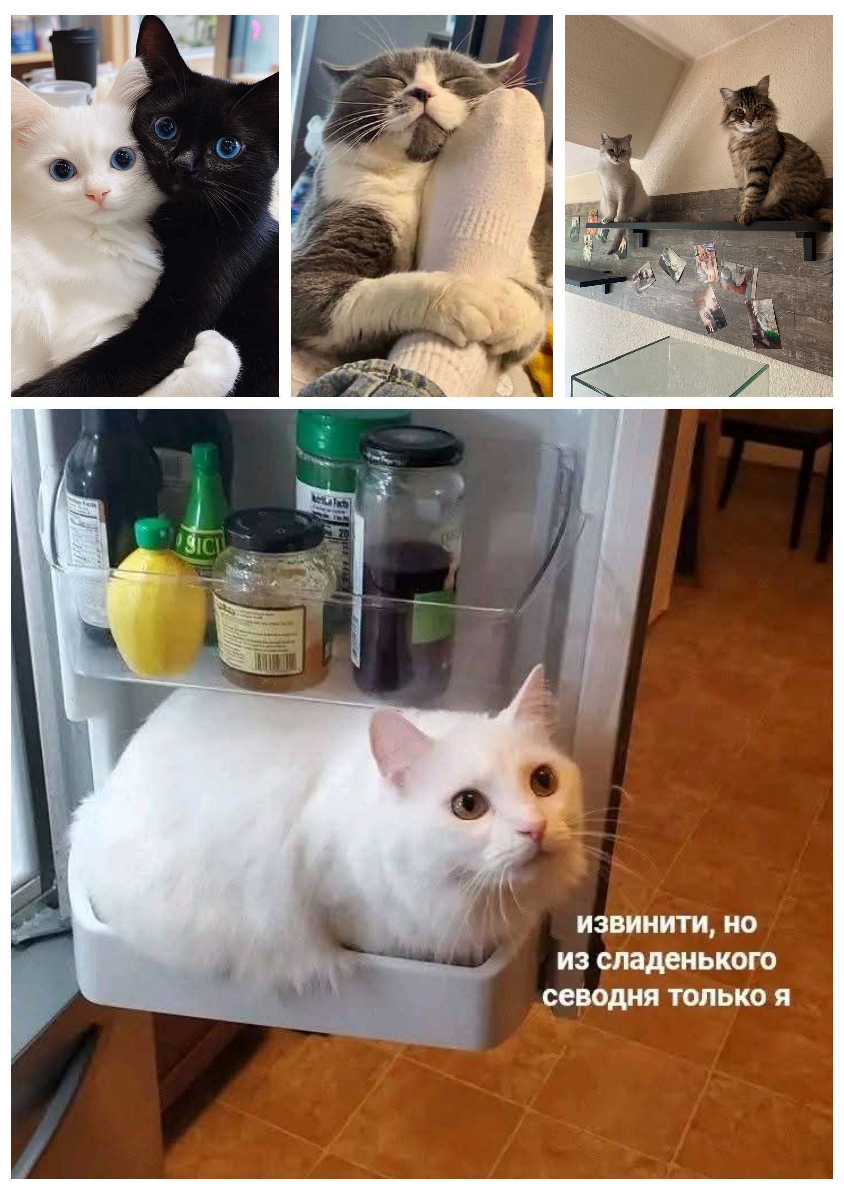 Извините, но из сладенького сегодня только я.