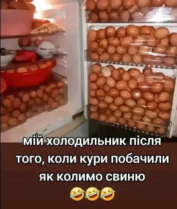 мій холодильник після того, коли кури побачили як колимо свиню 😂😂😂