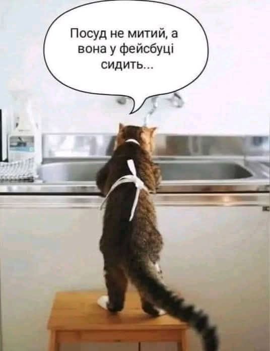 Посуд не мити, а вона у фейсбуці сидить...