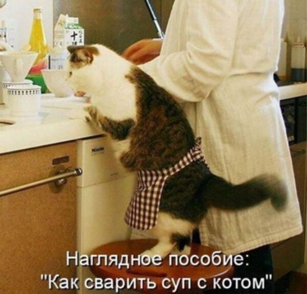 Наглядное пособие: 