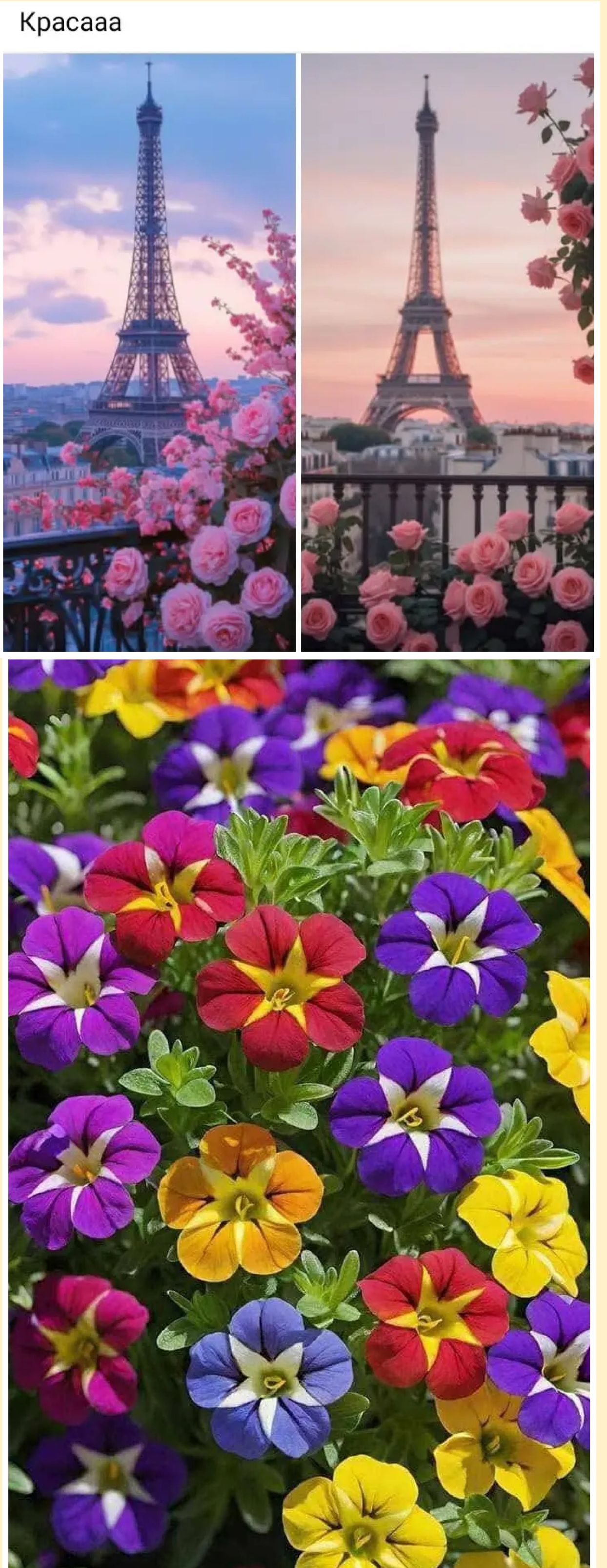 Красaaaa