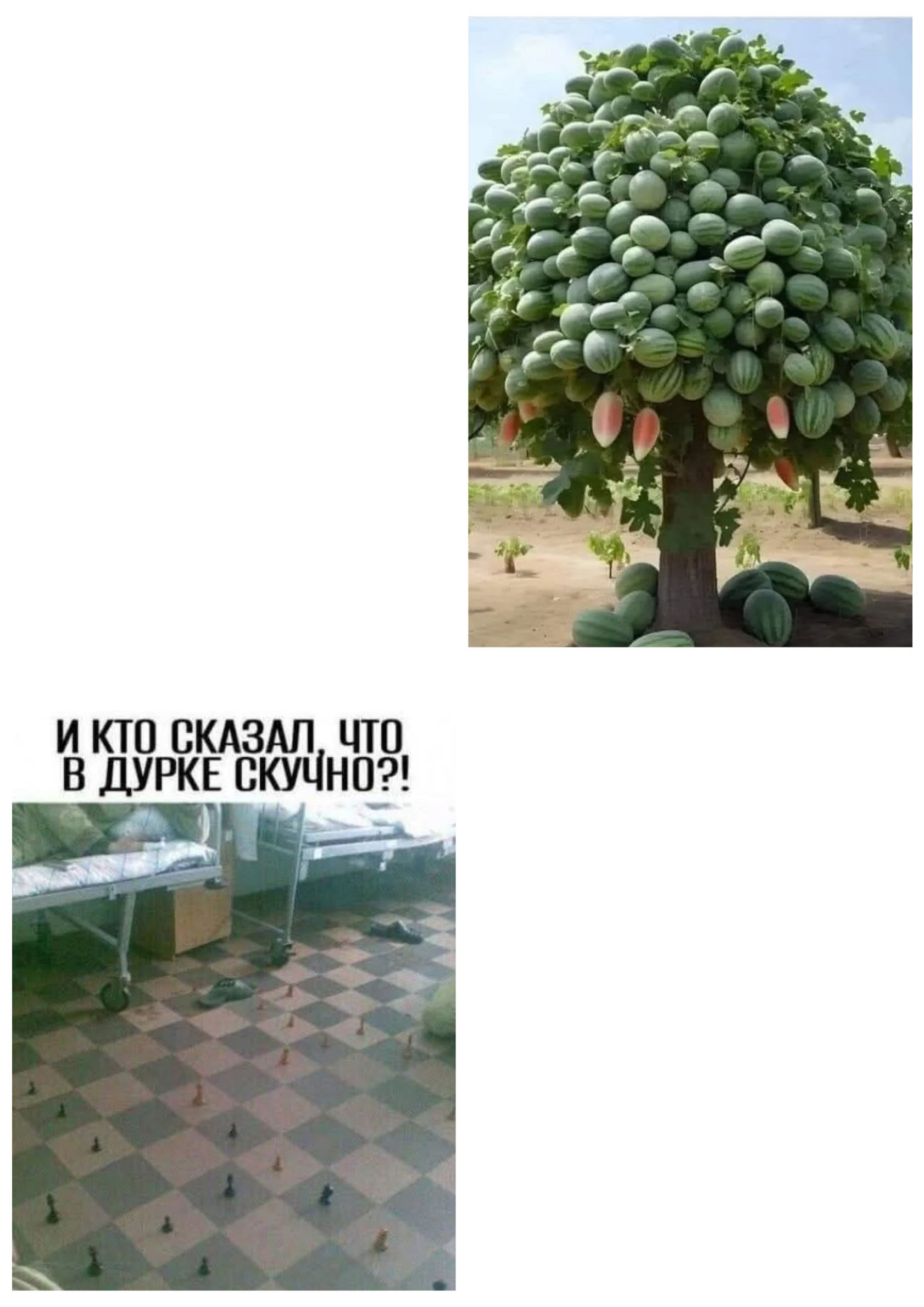И КТО СКАЗАЛ ЧТО В ДУРКЕ СКУЧНО?!