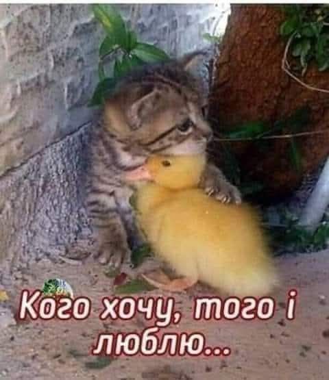 Кого хочу, того і люблю...