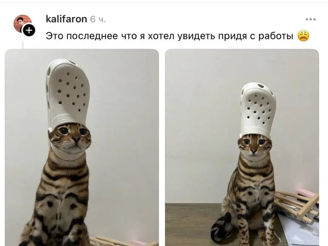 Это последнее что я хотел увидеть придя с работы 😞