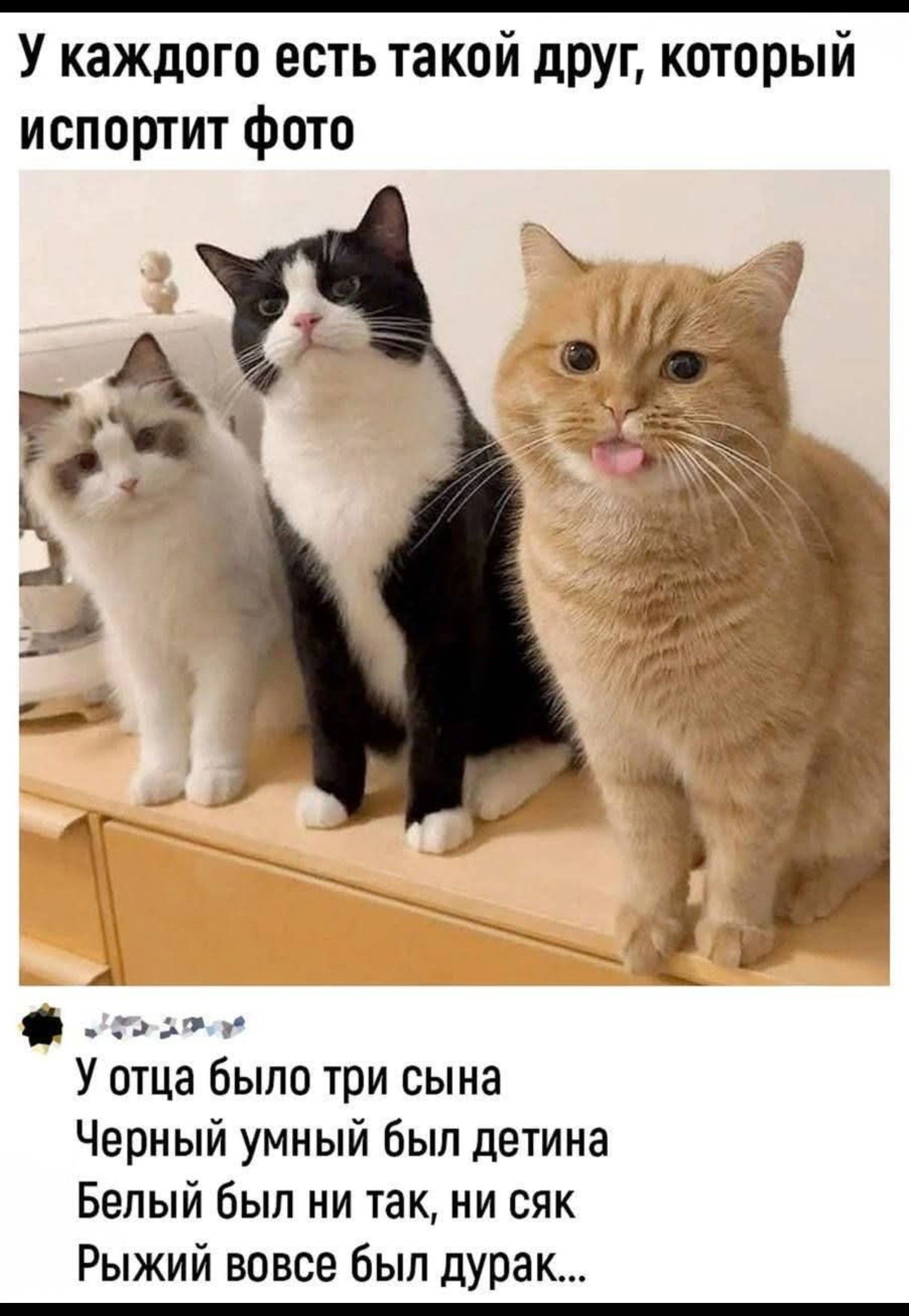 У каждого есть такой друг, который испортит фото
У отца было три сына Черный умный был детина Белый был ни так, ни сяк Рыжий вовсе был дурак...