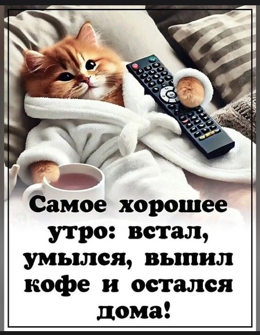 Самое хорошее утро: встал, умылся, выпил кофе и остался дома!