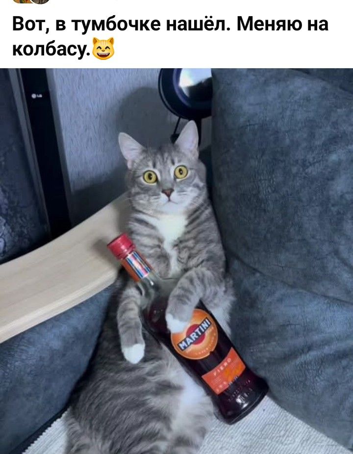 Вот, в тумбочке нашёл. Меняю на колбасу.