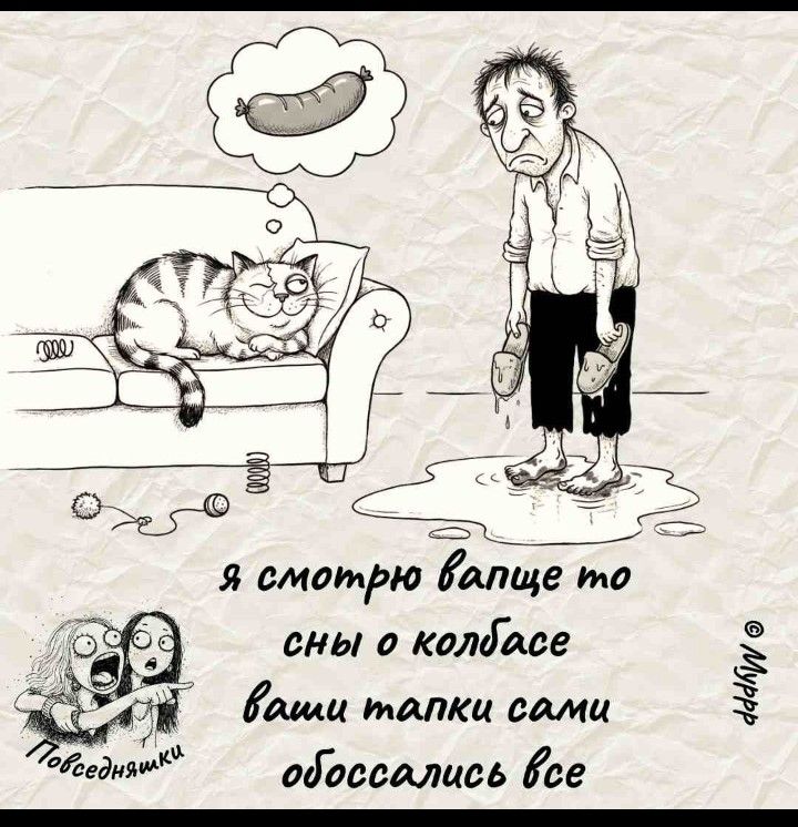 Я смотрю вообще-то сны о колбасе ваши тапки сами обоссались все