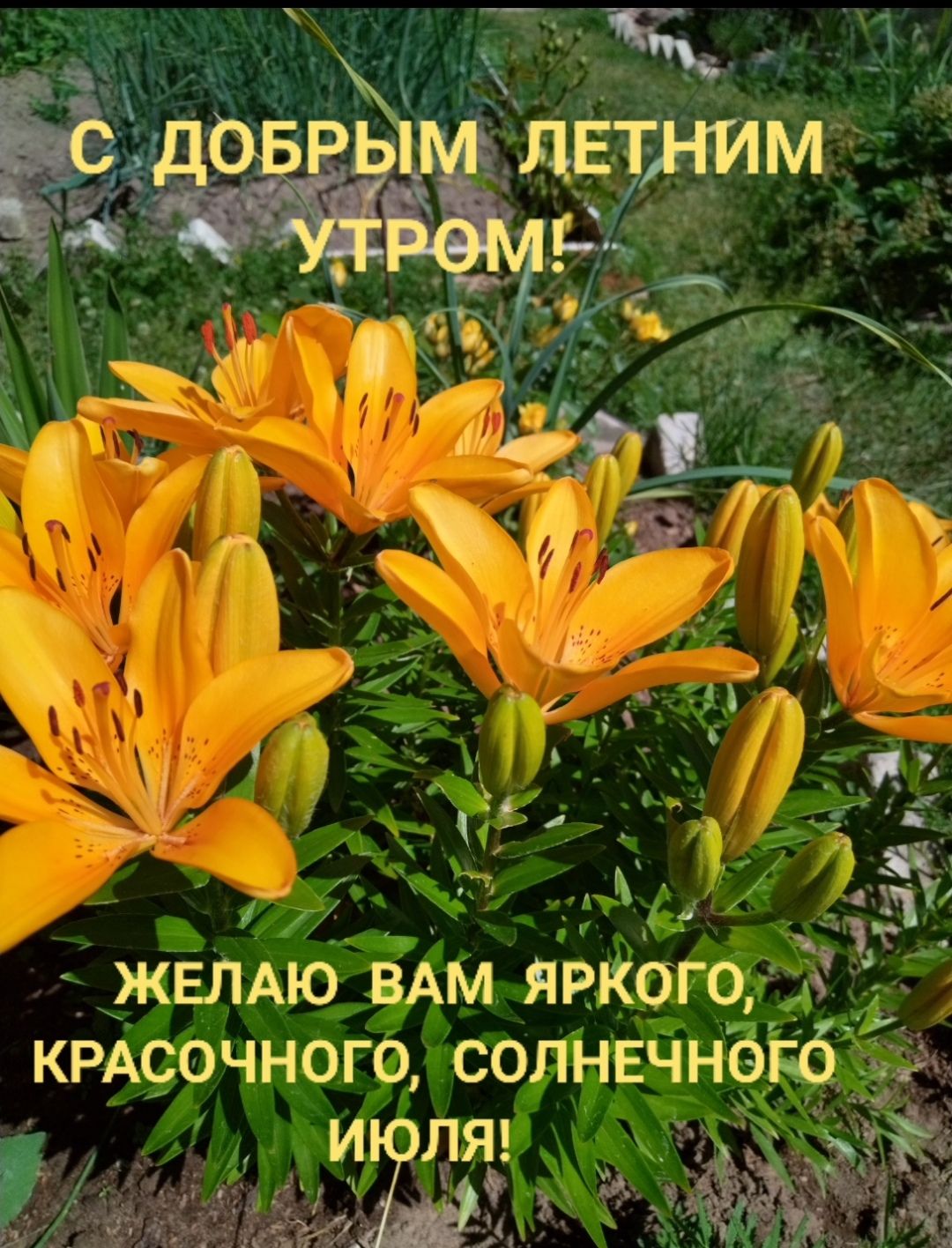 А цъ ЖЕЛАЮ БАМ ЯРКОіог крА9очного солНеЧнёЁёі и ляг у й 3