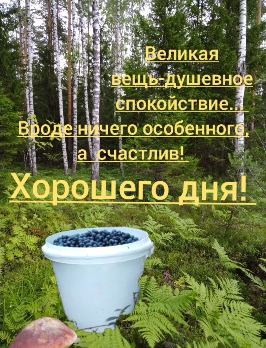 Хороще 0 дня