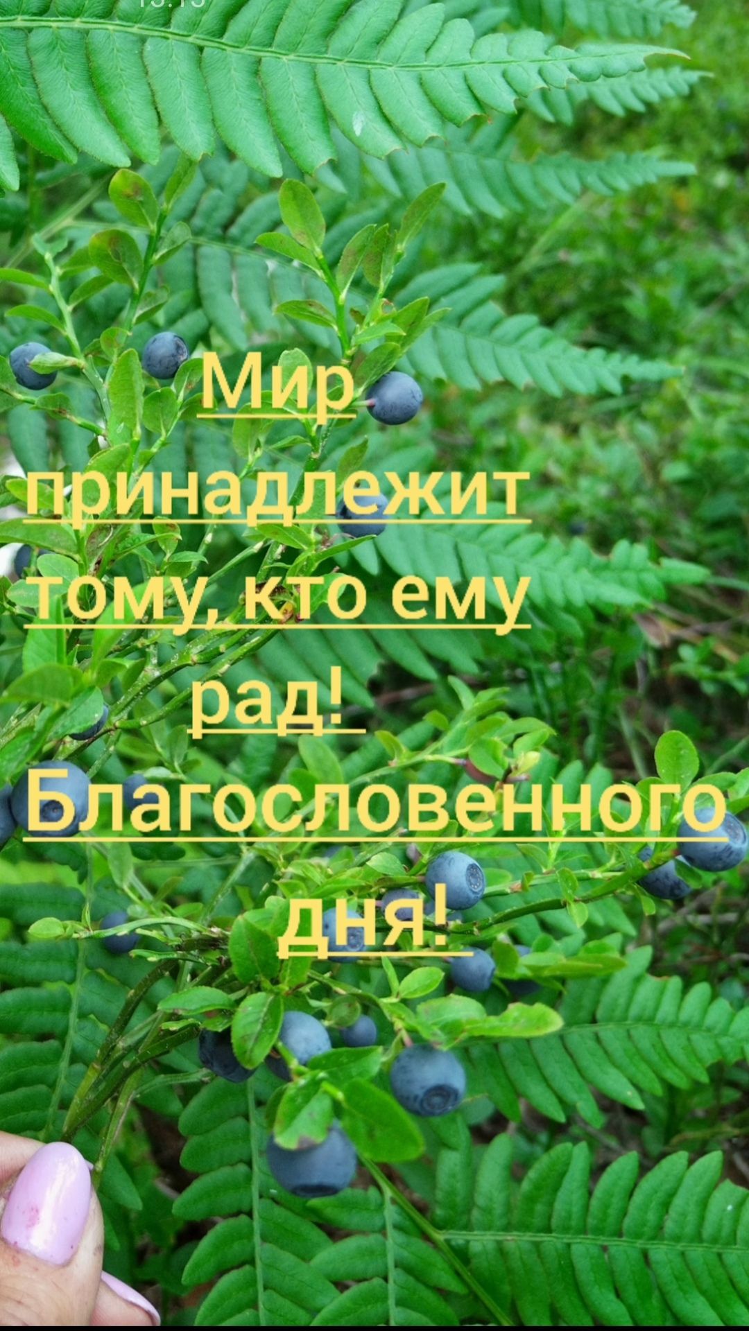 ча у л 1 Марсх ЗЫу я с На ИТ ібщ што ёМу Вдагоиіовендіощ Щ Г ь _ ь